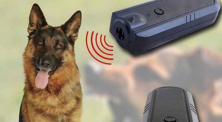  ультразвуковые отпугиватели собак с Алиэкспресс, рейтинг 2023
